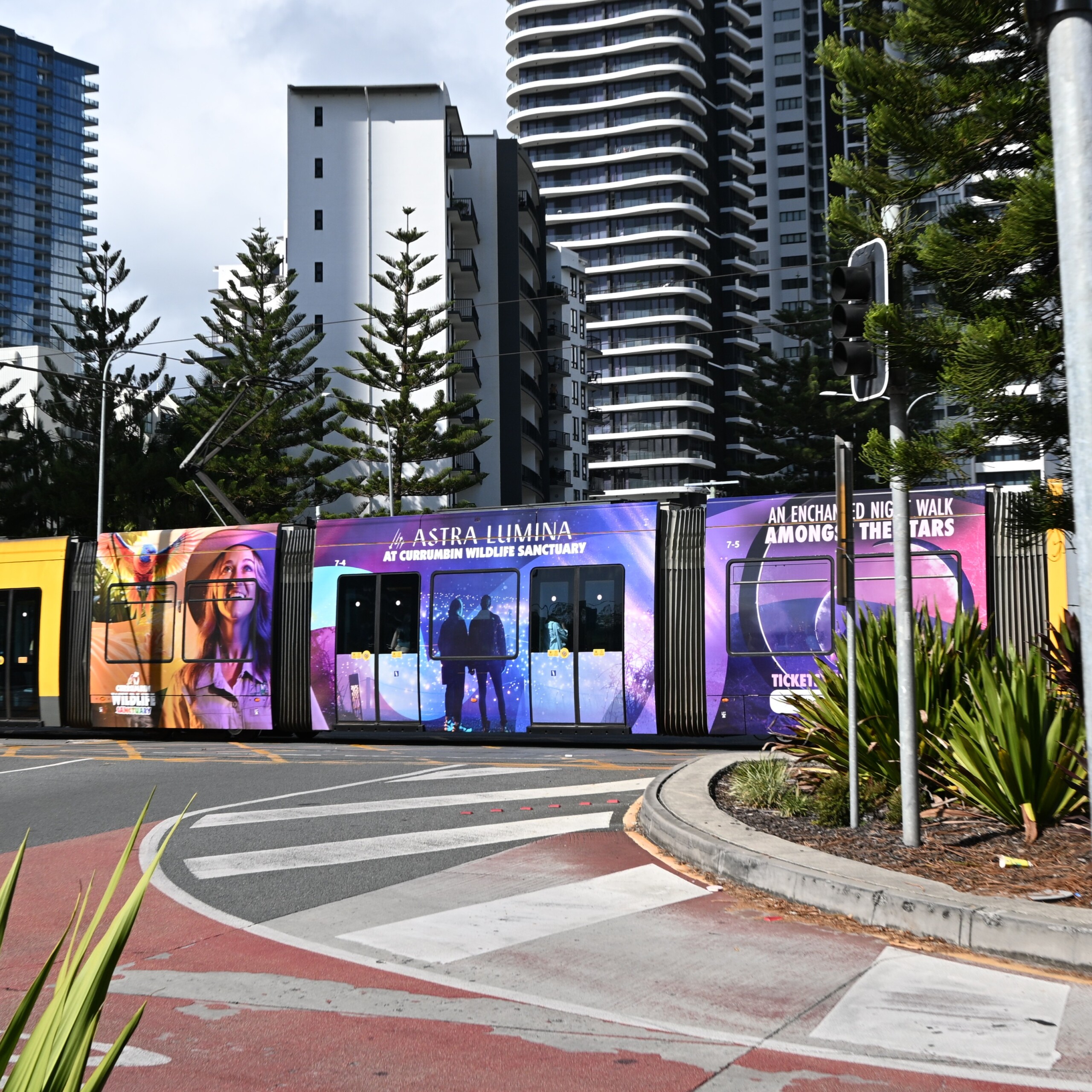 Light rail advertising featuring a full wrap for Astra Lumina at Currumbin Wildlife Sanctuary on a Gold Coast tram surrounded by high-rise buildings.